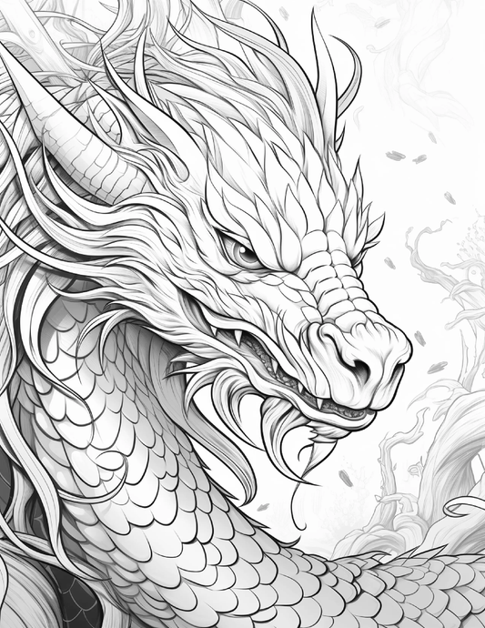chinese dragon coloring pages for Adults 2 Robs Books